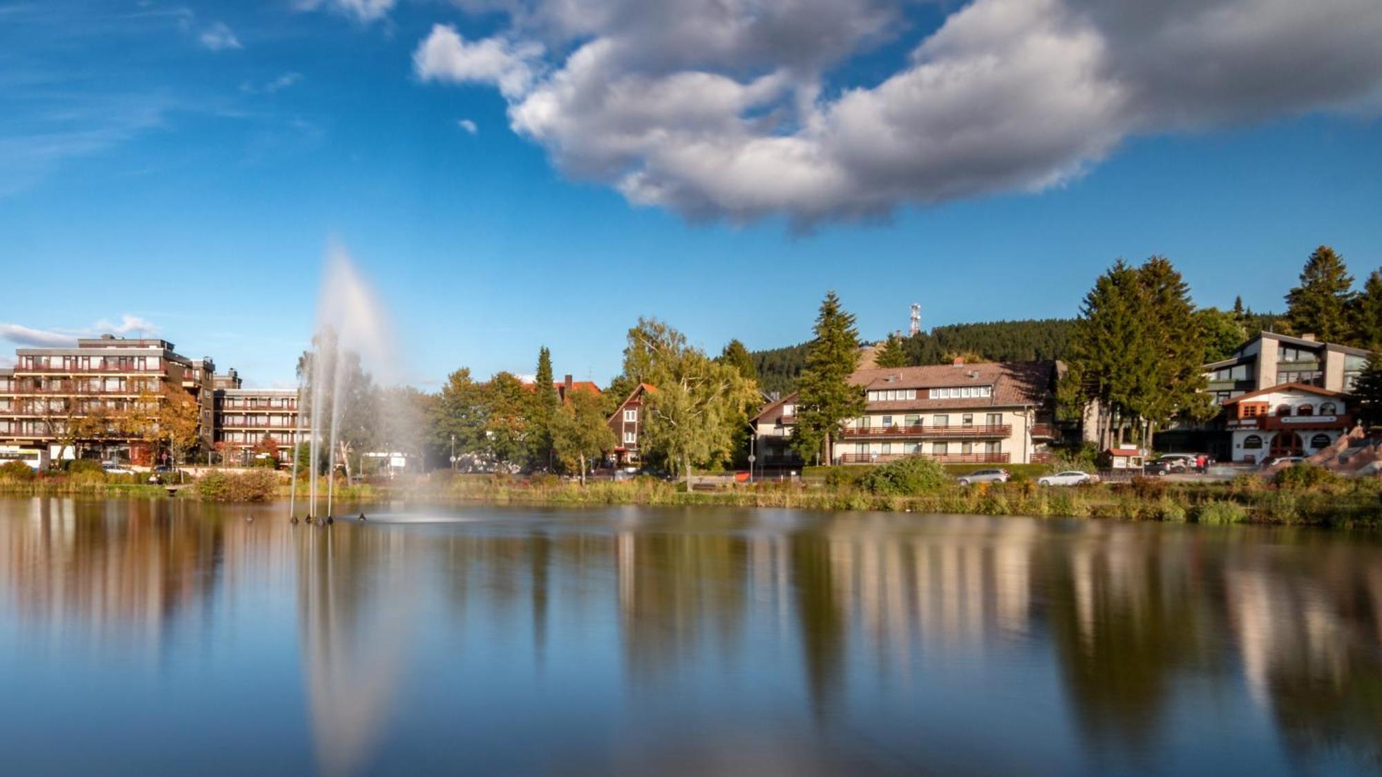 Modern & Vintage Bocksbergblick Ferienpark Hahnenklee Goslar Eksteriør bilde