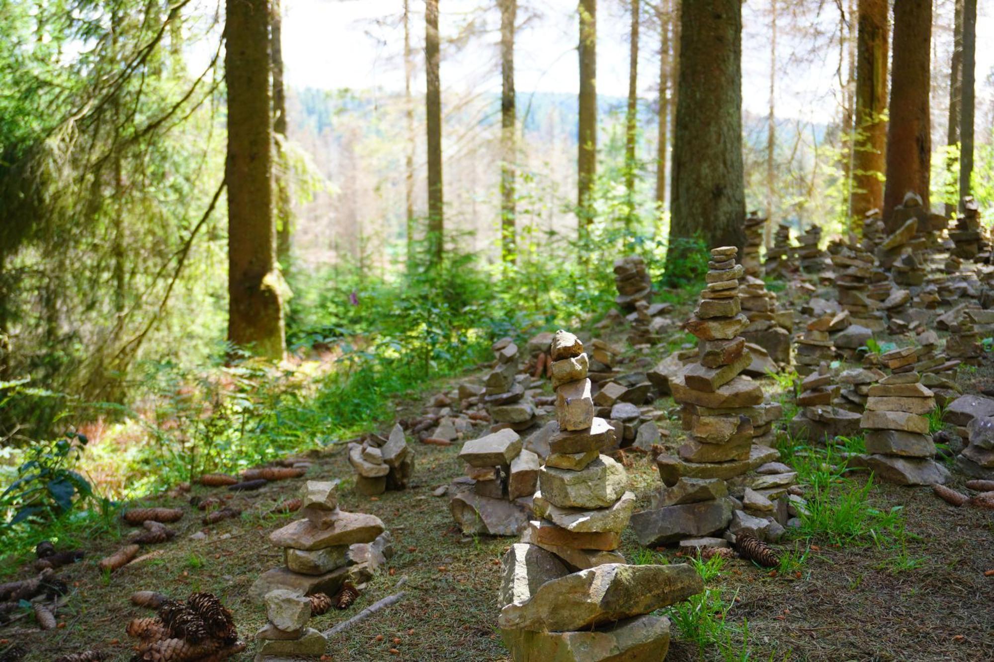 Modern & Vintage Bocksbergblick Ferienpark Hahnenklee Goslar Eksteriør bilde